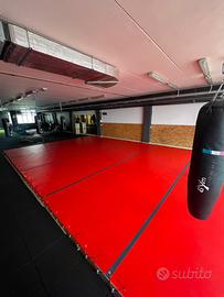 Tatami 90m2   1499€