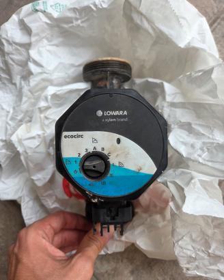 Pompa di circolazione Lowara Ecocirc 60b0l1024