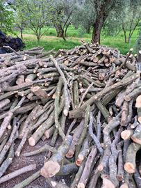 legna da ardere 