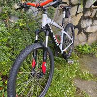 MTB Felt 920