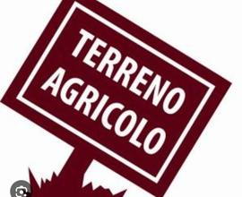 Terreno agricolo