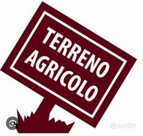 Terreno agricolo