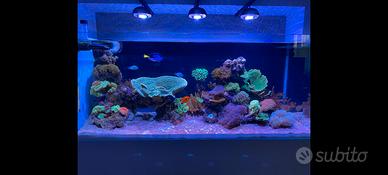 2 Plafoniera cetus 2 led 84w  per acquario