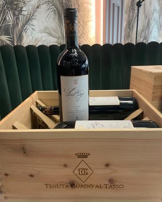 Vino Merlot Cont'Ugo 2022 Bolgheri DOC Antinori