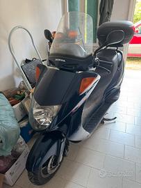 Honda pantheon 150