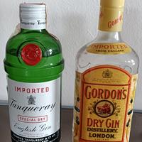 2 bottiglie GIN vintage