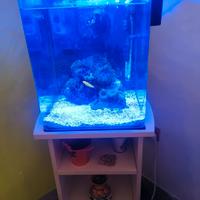 Acquario marino reef