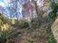 Immagine 22