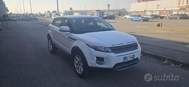 Range Rover Evoque 2.2 Td4 Pure  MOTORE FORD 