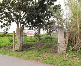 Terreno agricolo vicino al mare