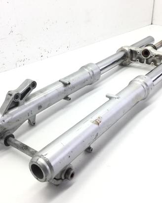 APRILIA PEGASO IE 650 FORCELLA FODERI STELI E PIAS