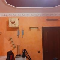 Parete attrezzata per gatto