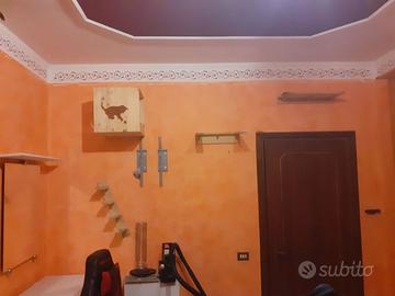 Parete attrezzata per gatto