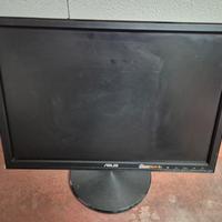monitor asus 19 pollici