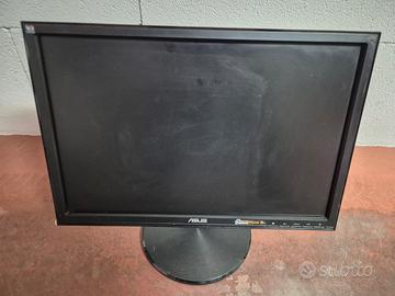 monitor asus 19 pollici
