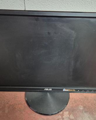 monitor asus 19 pollici