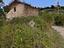 Immagine 9