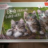 GATTI MICI AMICI - KITTY PALS PUZZLE Pz.260