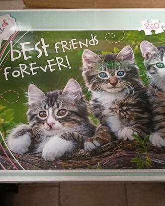 GATTI MICI AMICI - KITTY PALS PUZZLE Pz.260