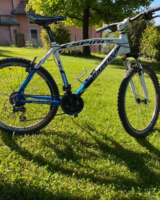 Mountainbike Galletti