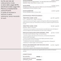 Impiegata, segreteria, commessa, traduttrice