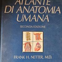 Atlante di anatomia umana 2 edizione Frank H