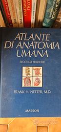 Atlante di anatomia umana 2 edizione Frank H