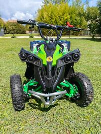 Miniquad Renegade