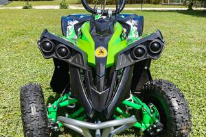 Miniquad Renegade