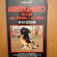 Addestramento del cane alla guardia e alla difesa