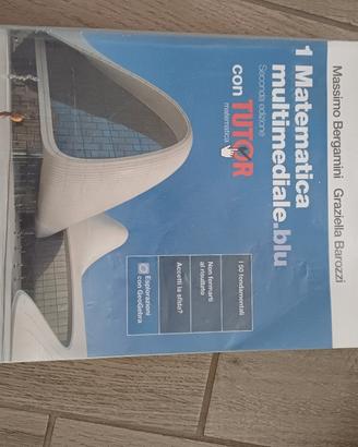 Matematica multimediale