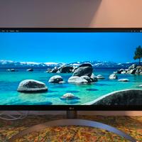 Monitor LG UltraWide 29 pollici