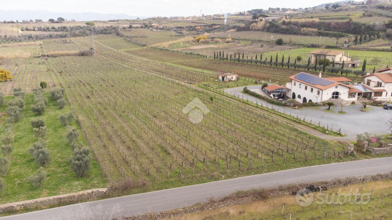TER. AGRICOLO A FRASCATI - Vista 3