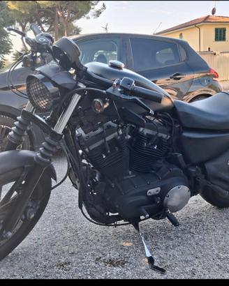 Harley-Davidson Sporster Iron XL 883N