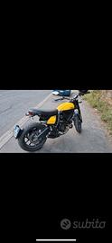 Ducati Scrambler 803 Icon – Yellow '62