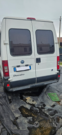 Van camperizato fiat ducato cc 2300