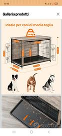 Gabbia box cani