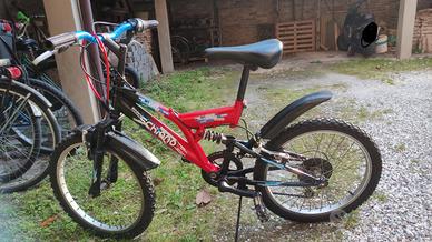 bicicletta 20 pollici ragazzo bambino