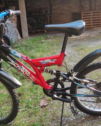 bicicletta 20 pollici ragazzo bambino