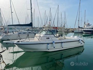 Boston Whaler outrage 290 con motori 2 Yamaha 225