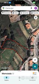 Terreno agricolo Periferia Mamoiada