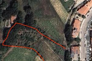 Terreno agricolo Periferia Mamoiada