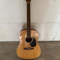 Chitarra Eko Ranger 6 corde