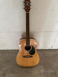 Chitarra Eko Ranger 6 corde