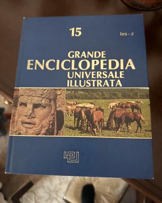 Grande Enciclopedia Universale Illustrata – 15 vol