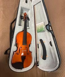 Violino