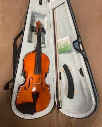 Violino