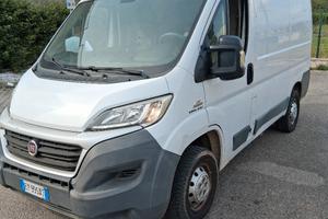 fiat ducato H1 L1