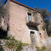 Rustico di 49 mq con oliveto di 730 mq