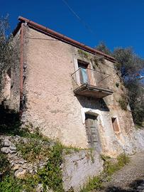 Rustico di 49 mq con oliveto di 730 mq